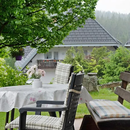 Apartment Haus Dörflinger Schluchsee
